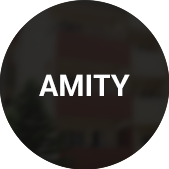 Amity Contract