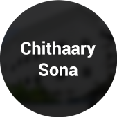 Chitaary Sona